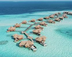 Imagen de Maldives