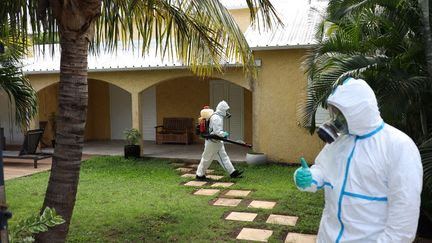 Epidémie de chikungunya : ce que l'on sait de la situation 'préoccupante' à La Réunion où le plan blanc est activé