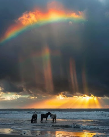 Corolla-beach-North-Carolina