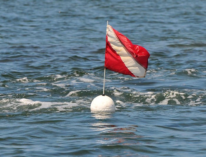 dive flag in water