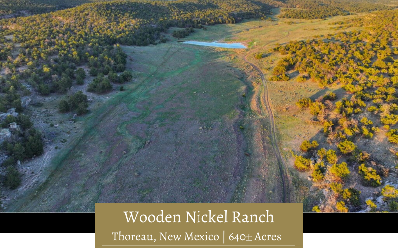 The stunning Wooden Nickel Ranch.