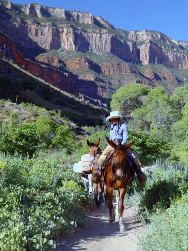 Person on a horse. 