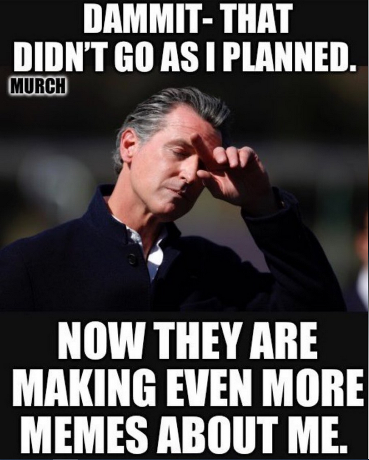 Meme about Newsom complaining about memes.