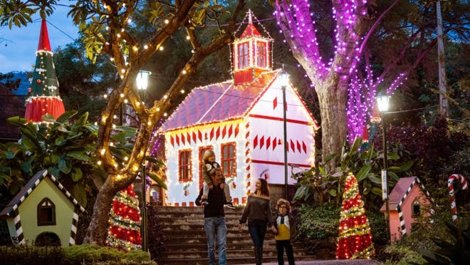 Madeira tiene todo el encanto de la Navidad en Europa con el beneficio añadido de un clima más cálido.