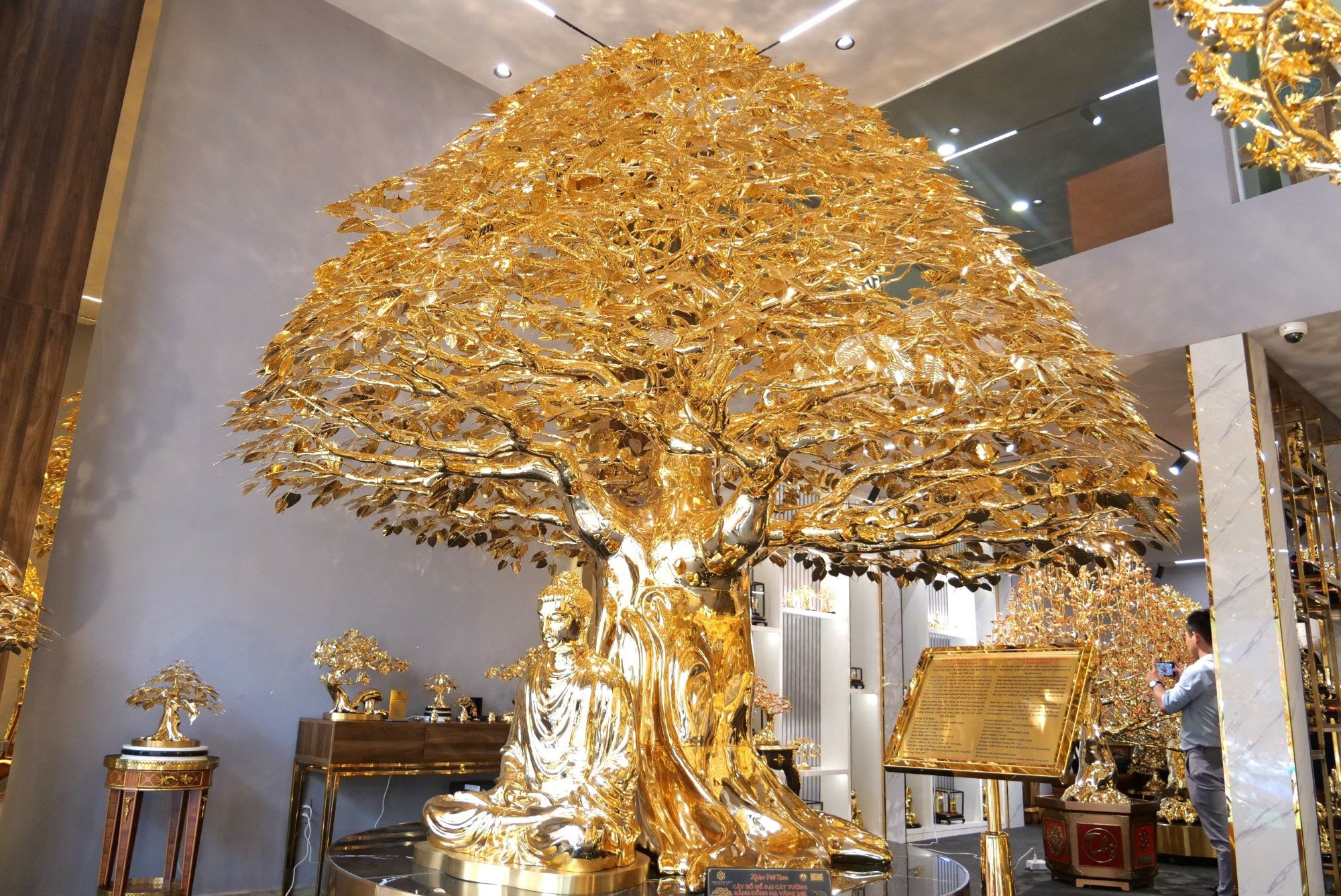 Xuất hiện cây bồ đề mạ vàng giá triệu đô chưng Tết  - Ảnh 3.