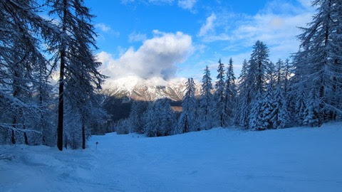 Winter-Tree-line-in-Snow