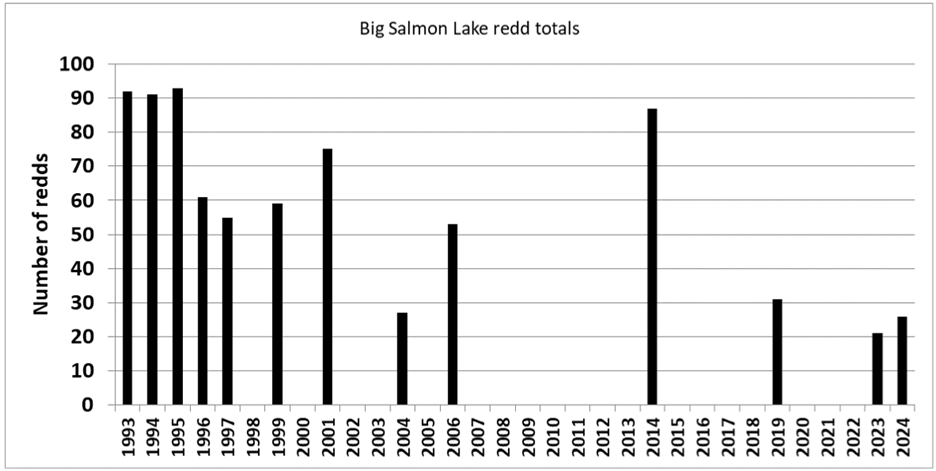 Big Salmon Lake redd totals