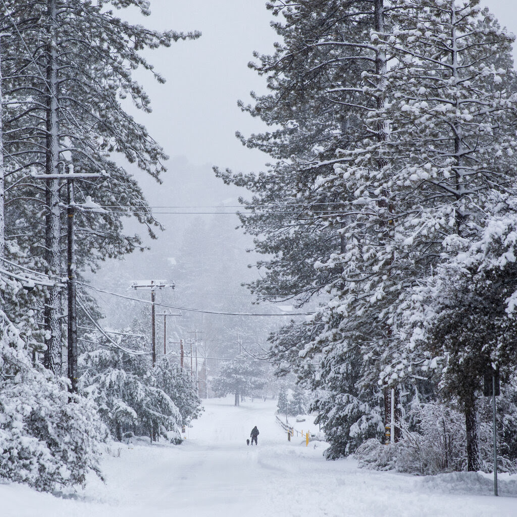 A road covered with unplowed snow, surrounded by pine trees also covered with snow. 
