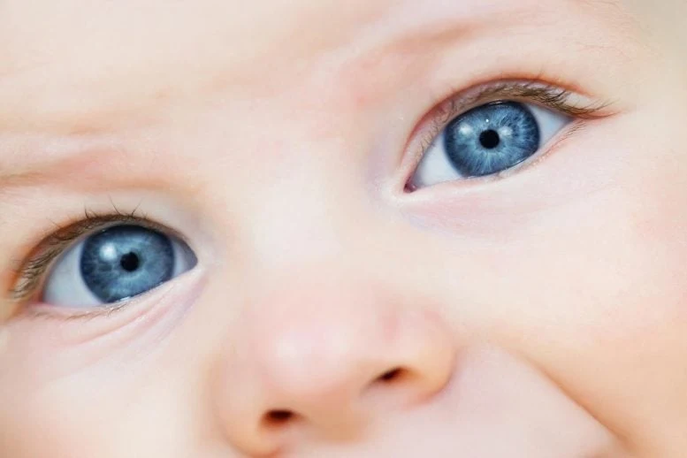 Baby Eyes Close Up