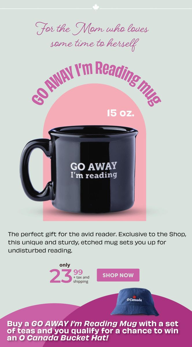 For the Mom who loves some time to herself GO AWAY I’m Reading mug