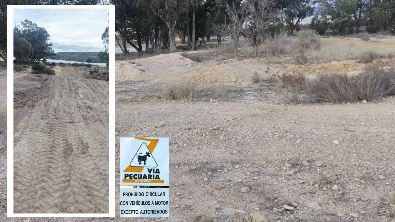 Denuncian el intento de construcción de una pista de motocross sobre una vía pecuaria en Cieza