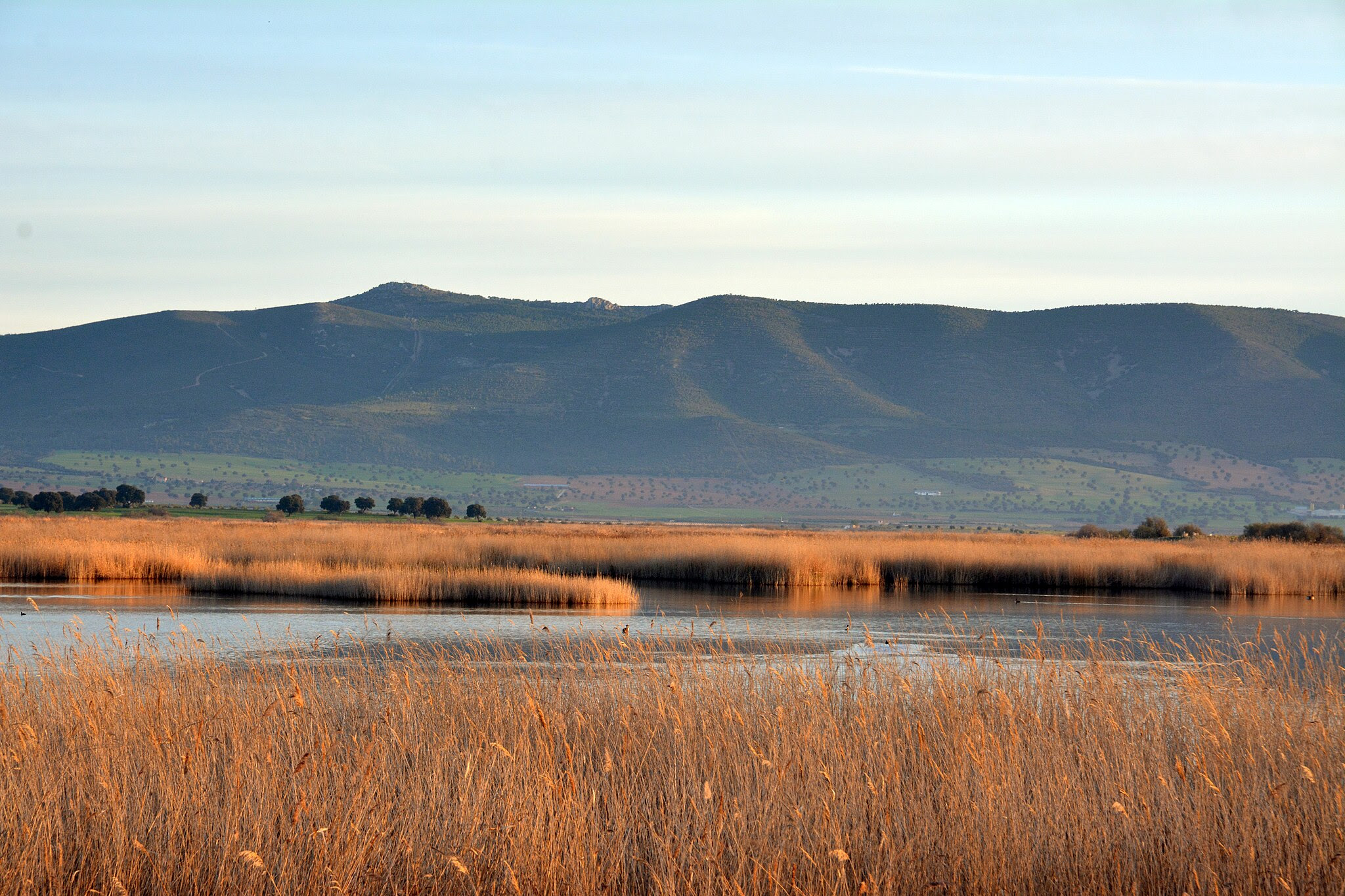 ley restauración naturaleza