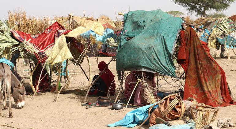 [UN News photo]