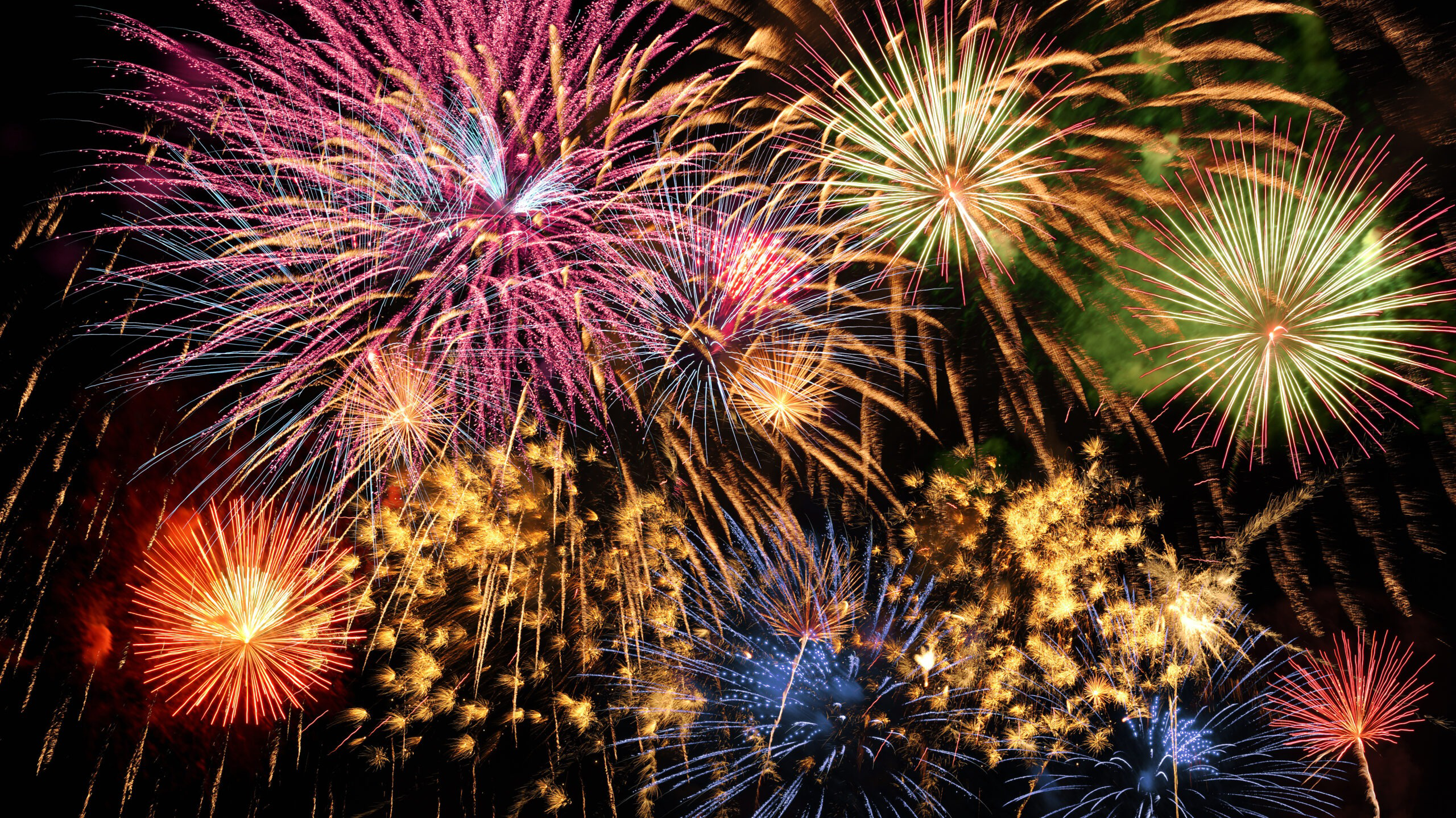 Fireworks scare us—that’s why we love them