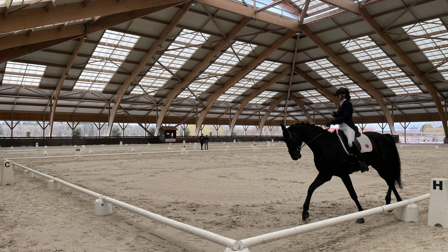 "Mon cheval m'a permis d'accepter mon handicap"... Les paradresseurs français évoquent leur relation à part avec leur monture