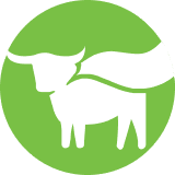 [Image: BYND-1.png]