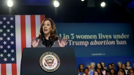 'C'est une crise sanitaire et Donald Trump en est l'architecte' : en Géorgie, Kamala Harris appelle à défendre le droit à l'avortement