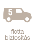 Flotta biztosítás