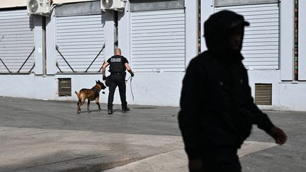 Marseille : les homicides liés au narcotrafic en baisse de 70% depuis le début de l'année