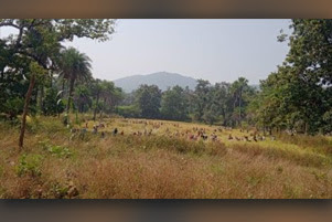 Several people are seen in a distant field. 