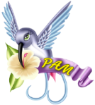 Pam-Hummingbird