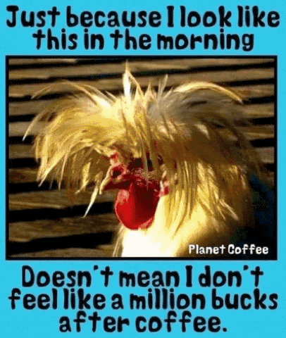 Good-Morning-Million-Bucks