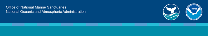 Blue banner with whale tale and NOAA logo and text 