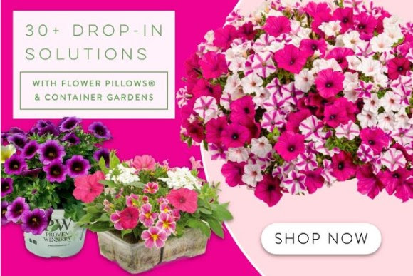 Flower Pillow & Container Garden