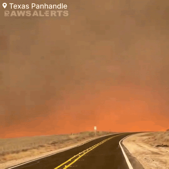 Cháy rừng tàn khốc tại Texas: Khói lửa bao trùm cả vùng trời, xót xa cảnh tượng động vật tán loạn thoát thân - Ảnh 1.