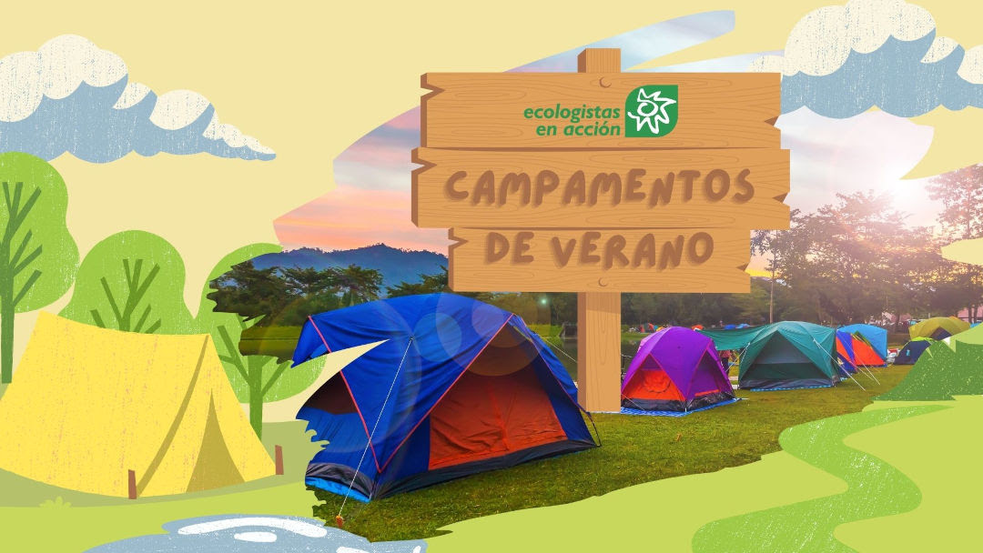 Campamentos de verano 2024