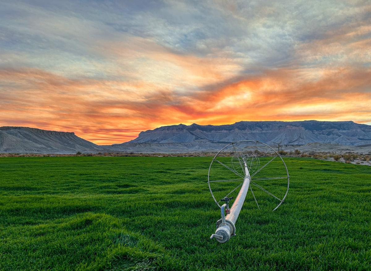 Photograph of sunset, mountains, and field