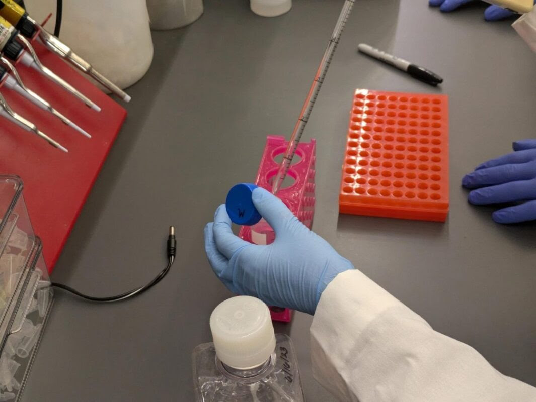 Pipetting Liquified Metformin 12