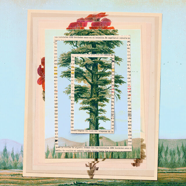 A colored pencil drawing of a tall tree is intersected in multiple layers by pieces of paper piled in a stack, viewed from above. Some of the pages are blank; some have words in Spanish in a typewriter font; and some have red flowers that extend above the tree sketch, as if they were the top of the tree.