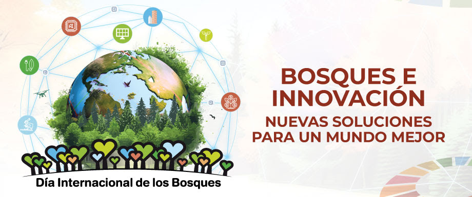 dia de los bosques