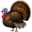 🦃