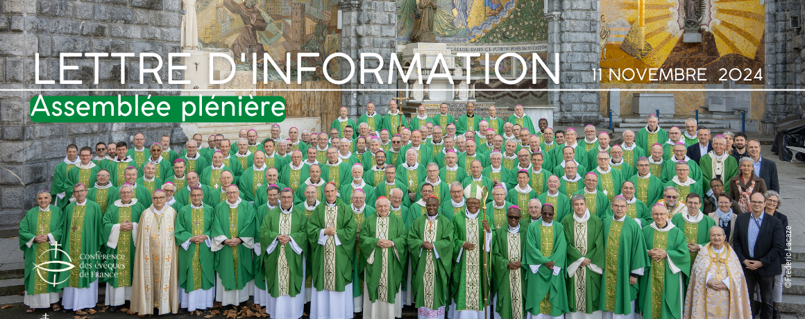 Logo CEF lettre d'information