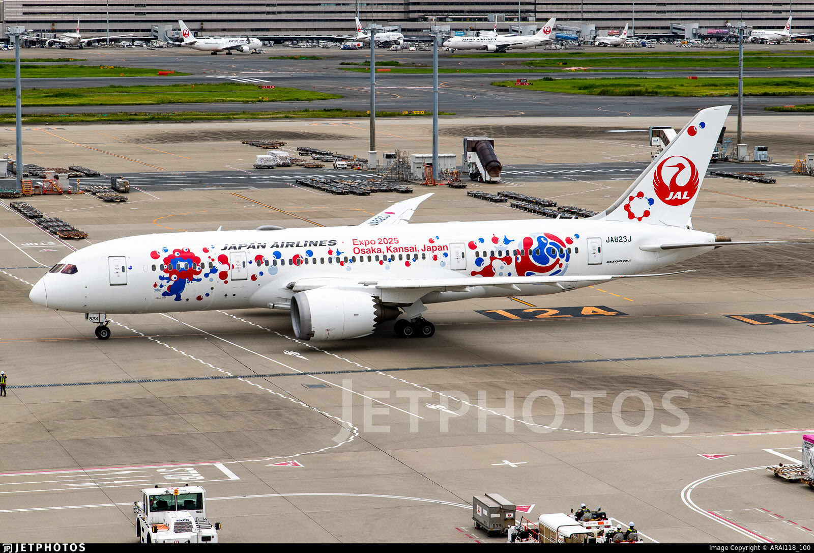 Japan Airlines Expo 2025 livery