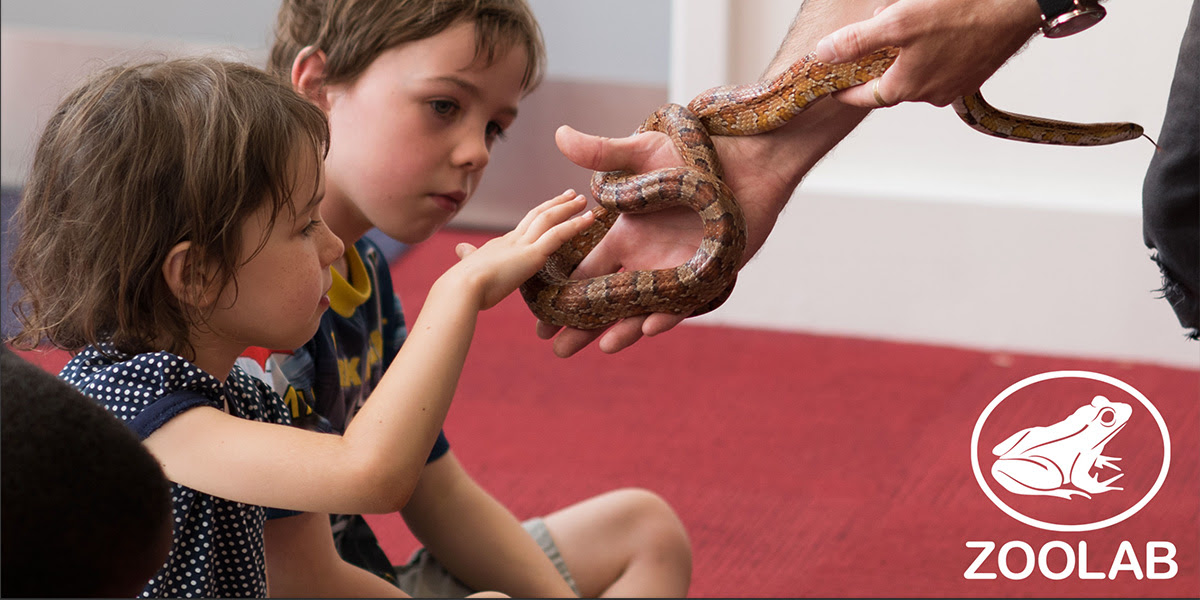 A child holding a snake