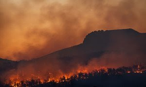 El cambio climático aumenta el riesgo de incendios forestales.