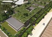 Casas con techos vegetales