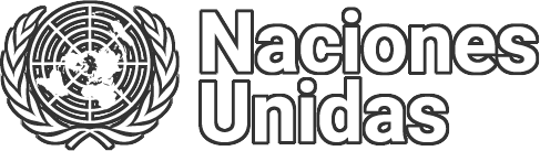 UN logo white