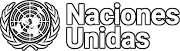 UN logo white