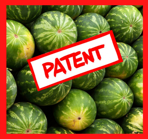 Patente de melón