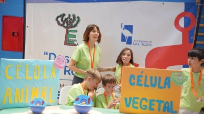 Las Rozas.- La final del Torneo de Robótica Municipal reunió a decenas de jóvenes para tratar IA y tecnologías