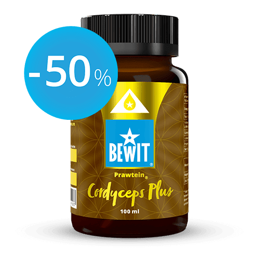 BEWIT PRAWTEIN Cordyceps Plus