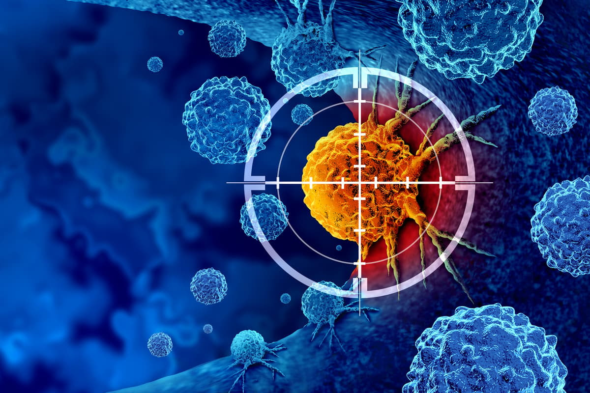 Researchers have harnessed the cancer-destroying abilities of the body's natural killer cells