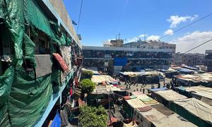 Las familias gazatíes siguen refugiándose en las escuelas de la Franja de Gaza.