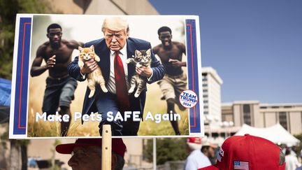 'Toute cette haine à cause d'un seul homme' : depuis que Donald Trump a accusé les Haïtiens de 'manger les chatons', Springfield a changé