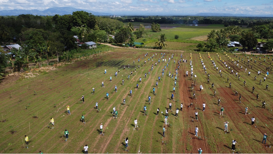 Aerial view of the planters in Carmen, Cotabato during the Guinness World Record Attempt