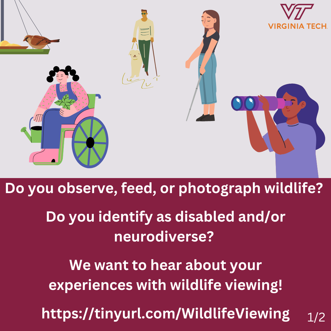 A bird at a bird feeder next to a girl using a wheelchair, a woman with a long cane, a man walking with a cane and a dog, and a woman with binoculars.